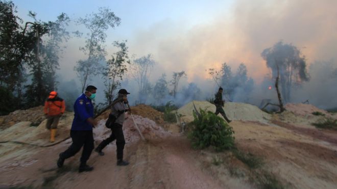 kebakaran hutan