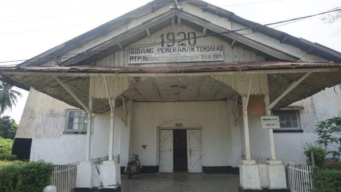 Tembakau Deli, Primadona Sumatera Yang Kian Redup