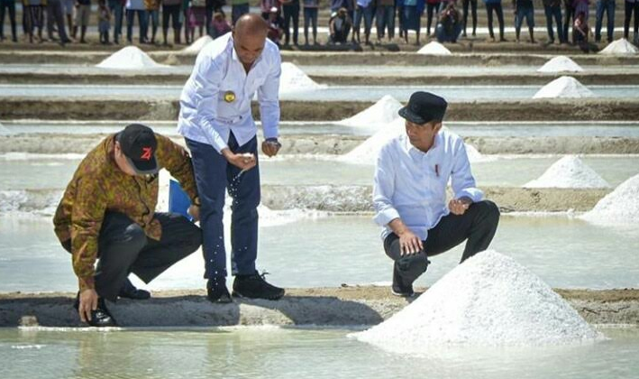 Presiden Jokowi Kunjungi Tambak Garam dan Pelabuhan Tenau