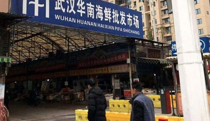 Bioskop Tutup Karena Virus Korona, Film China Dirilis Secara Online