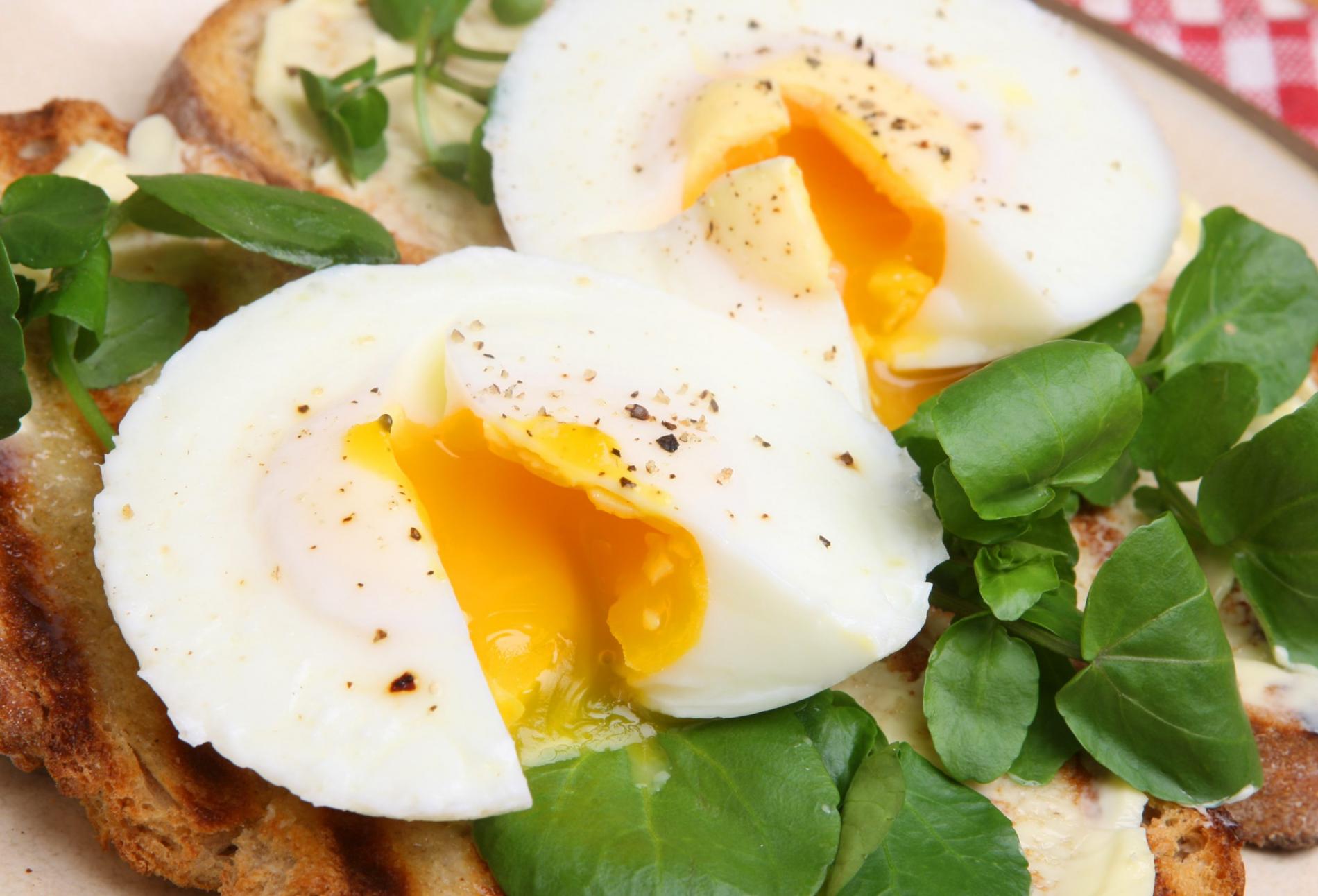 Lima Manfaat Telur Setengah Matang bagi Kesehatan